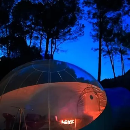 La Bulle De Cocagne *